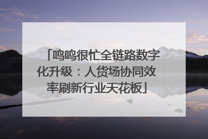 鸣鸣很忙全链路数字化升级：人货场协同效率刷新行业天花板