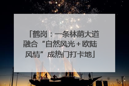 鹤岗：一条林荫大道融合“自然风光＋欧陆风情”成热门打卡地