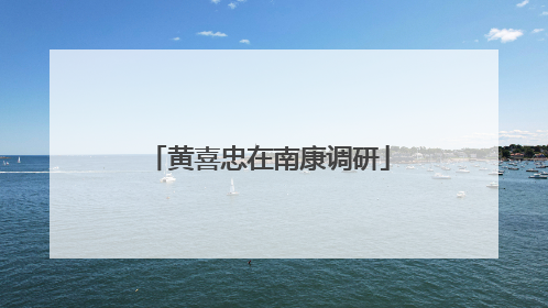 黄喜忠在南康调研