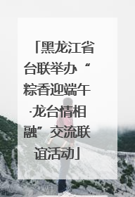 黑龙江省台联举办“粽香迎端午·龙台情相融”交流联谊活动