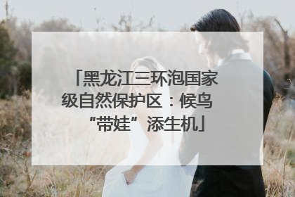 黑龙江三环泡国家级自然保护区：候鸟“带娃”添生机