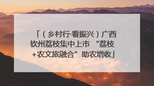 （乡村行·看振兴）广西钦州荔枝集中上市 “荔枝+农文旅融合”助农增收