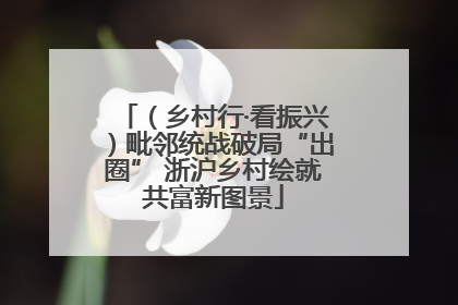 （乡村行·看振兴）毗邻统战破局“出圈” 浙沪乡村绘就共富新图景