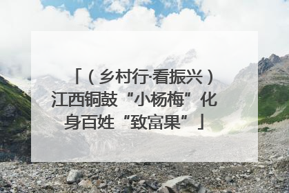 （乡村行·看振兴）江西铜鼓“小杨梅”化身百姓“致富果”