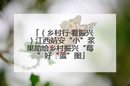 （乡村行·看振兴）江西靖安“小”浆果助绘乡村振兴“莓”好“蓝”图
