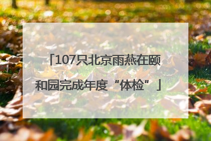 107只北京雨燕在颐和园完成年度“体检”