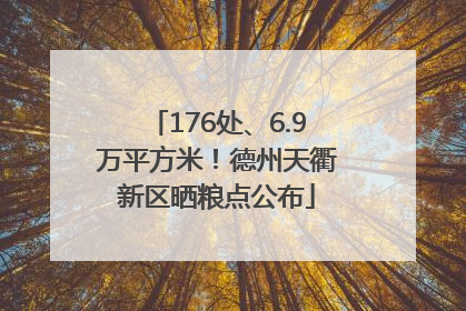 176处、6.9万平方米！德州天衢新区晒粮点公布