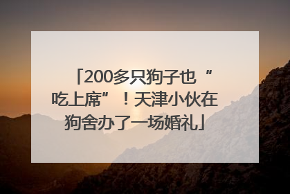 200多只狗子也“吃上席”！天津小伙在狗舍办了一场婚礼
