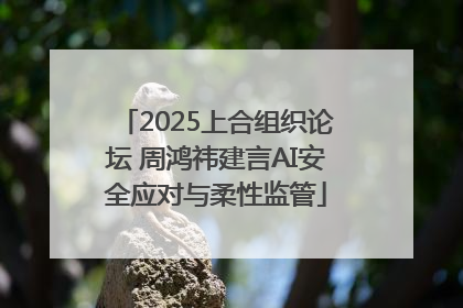2025上合组织论坛 周鸿祎建言AI安全应对与柔性监管