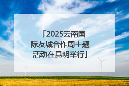 2025云南国际友城合作周主题活动在昆明举行