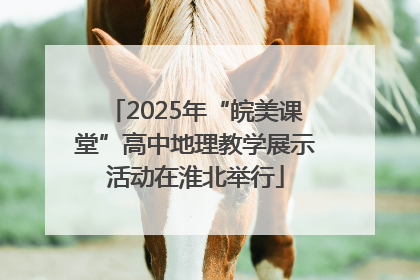 2025年“皖美课堂”高中地理教学展示活动在淮北举行