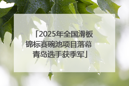 2025年全国滑板锦标赛碗池项目落幕 青岛选手获季军