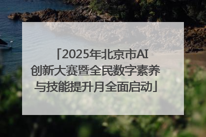 2025年北京市AI创新大赛暨全民数字素养与技能提升月全面启动