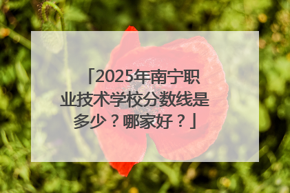 2025年南宁职业技术学校分数线是多少？哪家好？