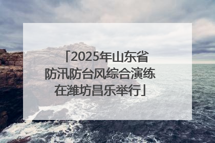 2025年山东省防汛防台风综合演练在潍坊昌乐举行