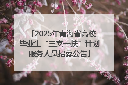 2025年青海省高校毕业生“三支一扶”计划服务人员招募公告