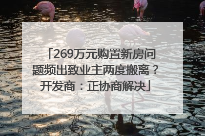 269万元购置新房问题频出致业主两度搬离？开发商：正协商解决