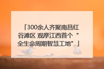300余人齐聚南昌红谷滩区 观摩江西首个“全生命周期智慧工地”