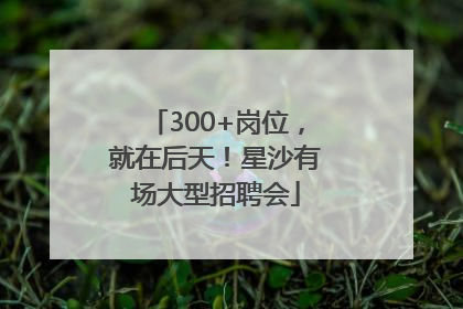 300+岗位，就在后天！星沙有场大型招聘会