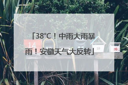 38℃！中雨大雨暴雨！安徽天气大反转