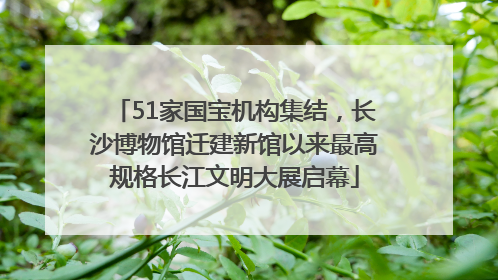 51家国宝机构集结，长沙博物馆迁建新馆以来最高规格长江文明大展启幕