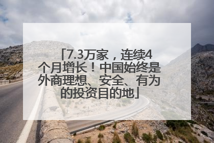 7.3万家，连续4个月增长！中国始终是外商理想、安全、有为的投资目的地