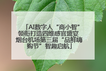 AI数字人“商小智”领衔打造四维感官盛宴 烟台机场第三届“品鲜嗨购节”智趣启航