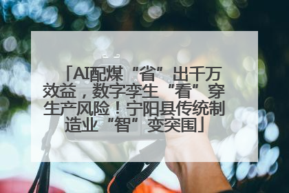 AI配煤“省”出千万效益，数字孪生“看”穿生产风险！宁阳县传统制造业“智”变突围