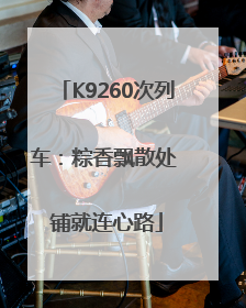 K9260次列车：粽香飘散处 铺就连心路
