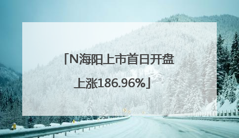 N海阳上市首日开盘上涨186.96%